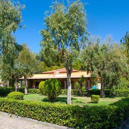 Villaggio Holiday Beach Diamante Dış mekan fotoğraf